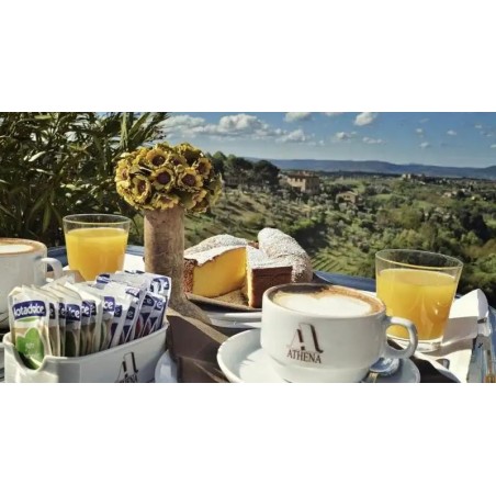Hotel Athena