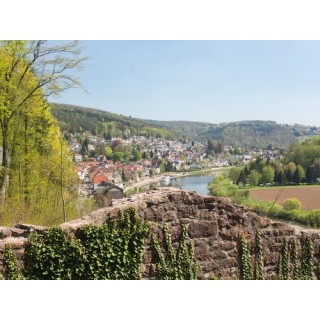 Campingplatz unterm Dilsberg