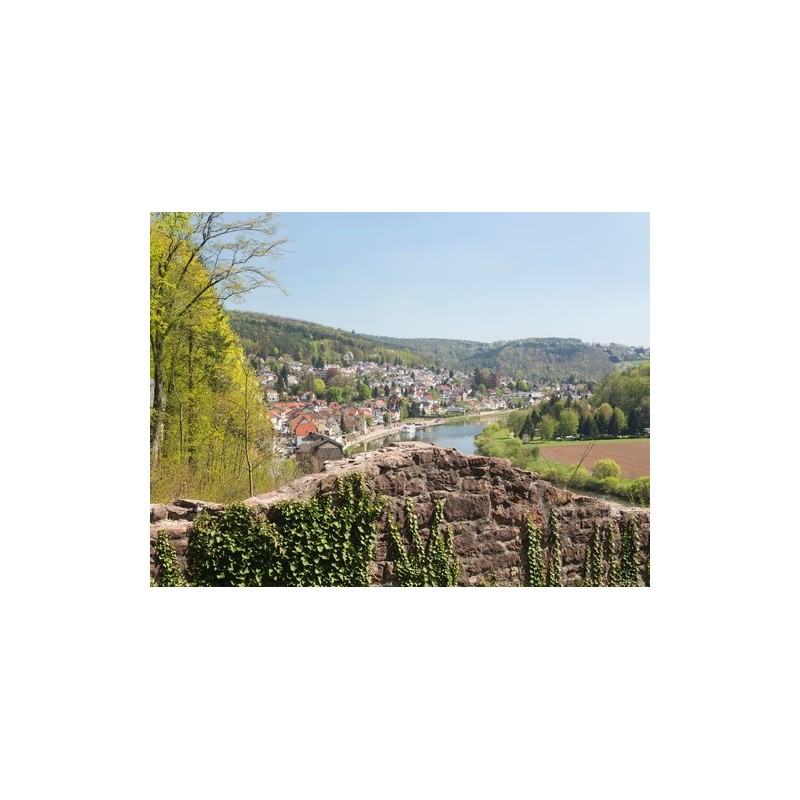 Campingplatz unterm Dilsberg