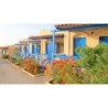 Zorbas Beach Village Hotel