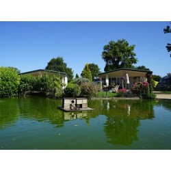 Camping Molengroet