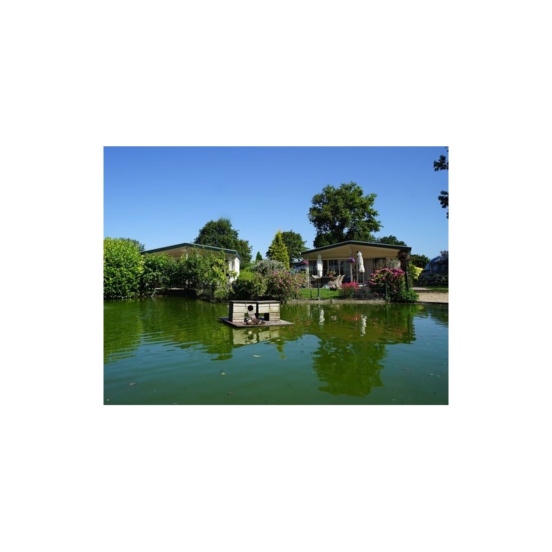 Camping Molengroet