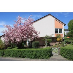 Ferienwohnung in Rhön ab 38€ pro Nacht