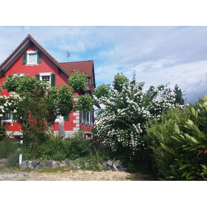 Hotel in Bodensee ab 59€ pro Nacht