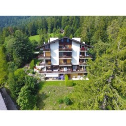 Ferienwohnung in Leytron ab 58€ pro Nacht