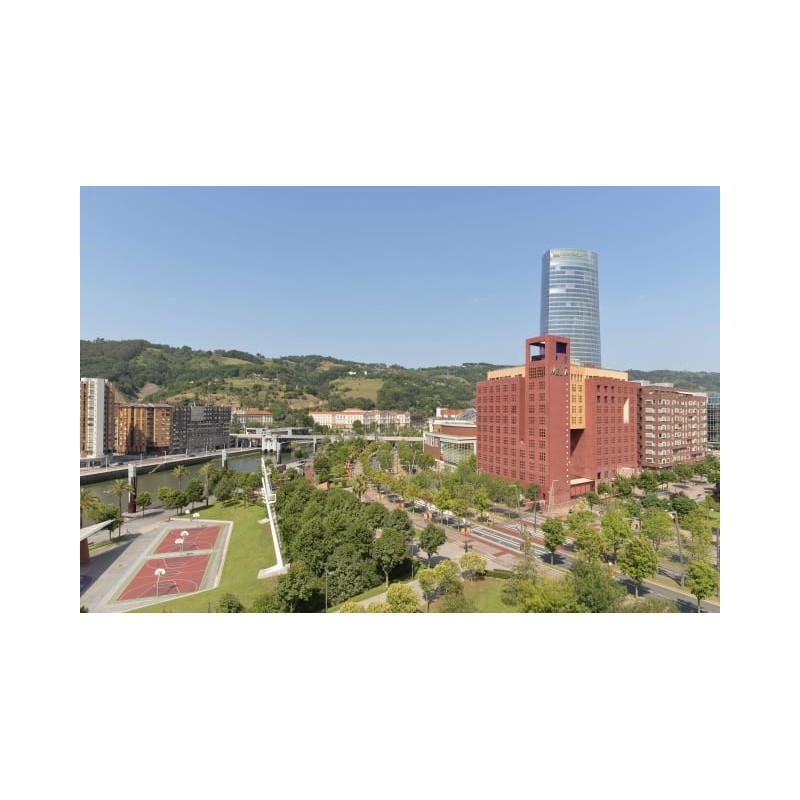 Hotel Melia Bilbao