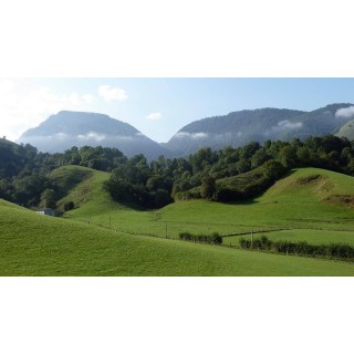 Ferienhaus in Béarn ab 57€ pro Nacht