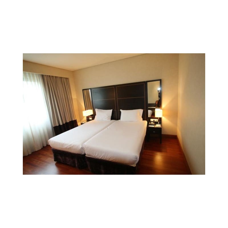 Hotel Eurostars Das Artes