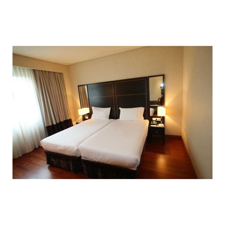 Hotel Eurostars Das Artes