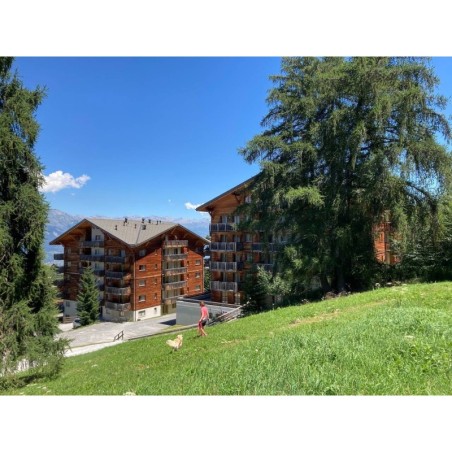 Ferienwohnung in Nendaz ab 48€ pro Nacht