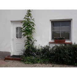 Ferienwohnung in Barth ab 59€ pro Nacht