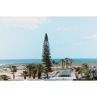 Hotel El Palmar