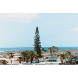 Hotel El Palmar