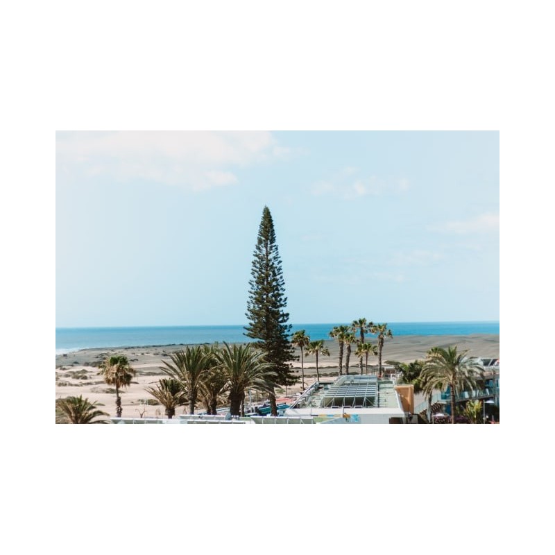 Hotel El Palmar