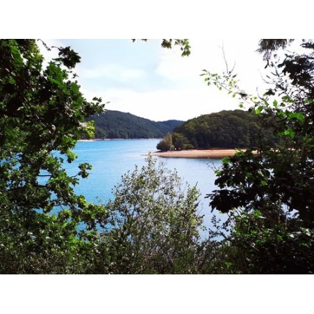 Les Rives du Lac Cantalès