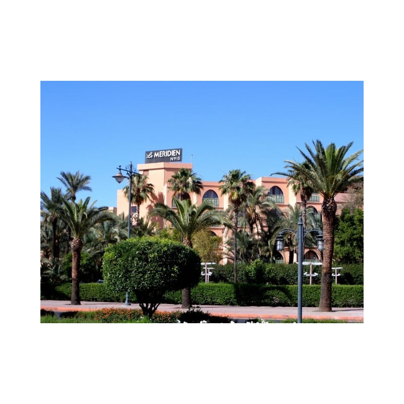 Hotel Le Meridien N'fis