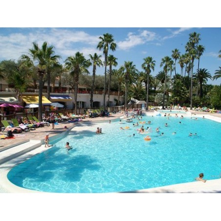 Camping La Baume - La Palmeraire
