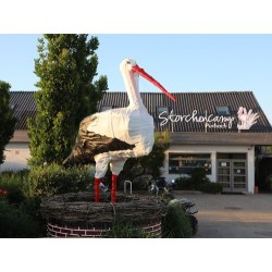 Storchencamp Purbach