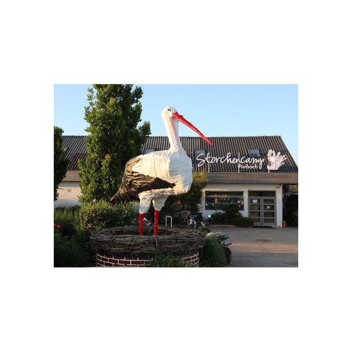 Storchencamp Purbach