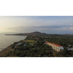 Delfinia