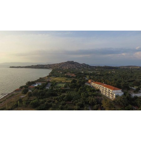 Delfinia