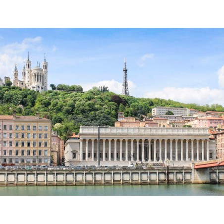 Comfort Suite Rive Gauche Lyon Centre