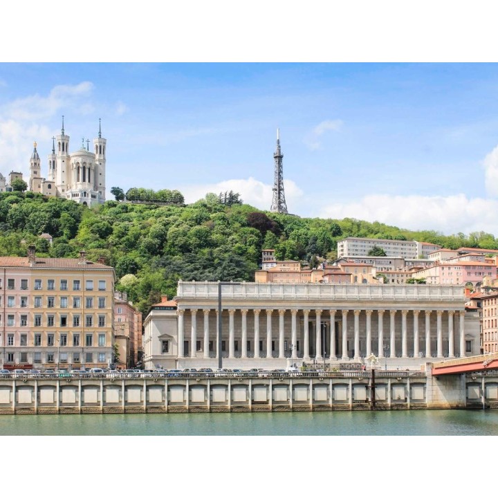 Comfort Suite Rive Gauche Lyon Centre