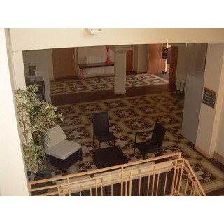 Domaine Lyon Saint Joseph