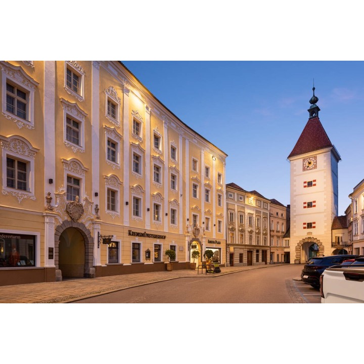 Amedia Plaza Wels, Tradem