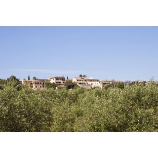 Agroturismo S'Hort de Son Caulelles - Adults only