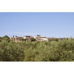 Agroturismo S'Hort de Son Caulelles - Adults only
