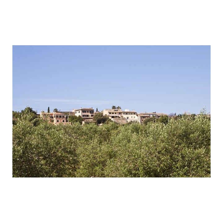 Agroturismo S'Hort de Son Caulelles - Adults only