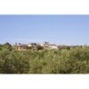 Agroturismo S'Hort de Son Caulelles - Adults only