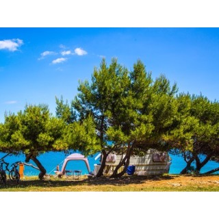 Arena Stupice Campsite
