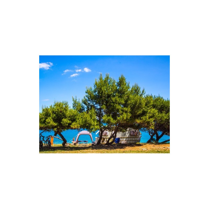 Arena Stupice Campsite