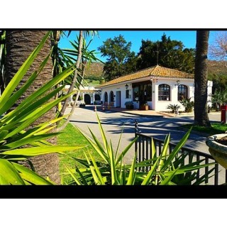 Taiga Tarifa Valdevasqueros