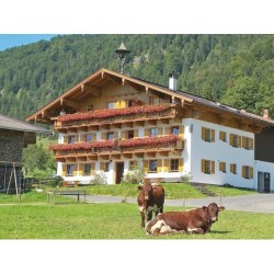 Ferienwohnung in Kössen ab 42€ pro Nacht