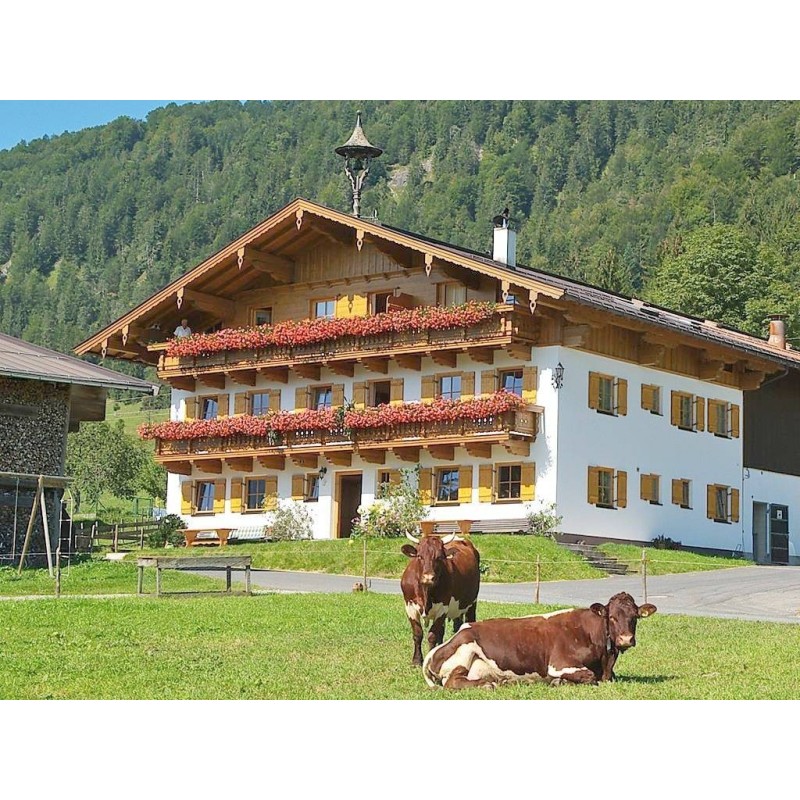 Ferienwohnung in Kössen ab 42€ pro Nacht