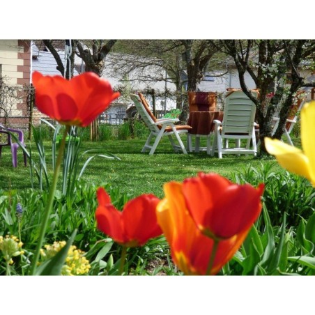 Ferienwohnung in Nahetal ab 55€ pro Nacht