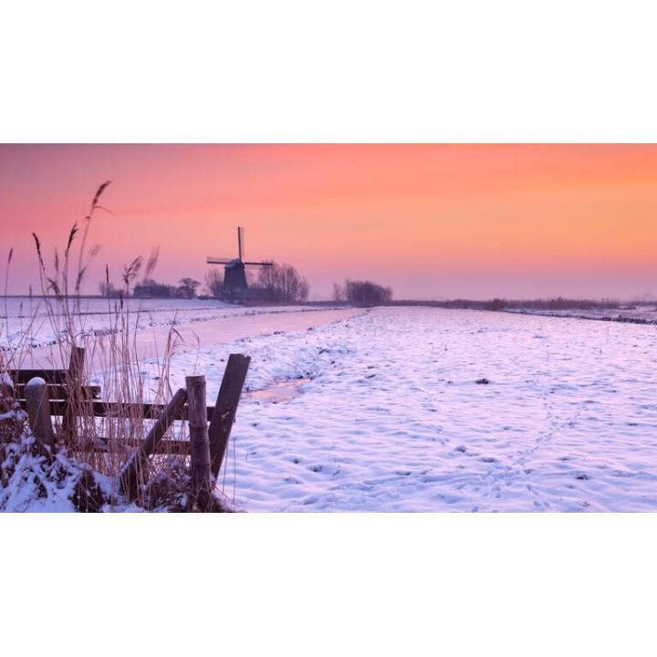 Kreuzfahrten Rhein - Niederlande: Flusskreuzfahrt mit Lady Diletta ab/an Köln