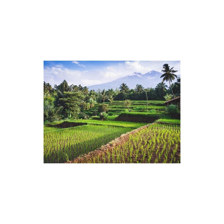 Kombinationsreisen Singapur, Thailand, Malaysia & Indonesien: Kreuzfahrt mit der Celebrity Millennium inkl. Baden auf Bali