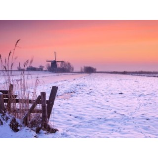 Kreuzfahrten Rhein - Niederlande: Flusskreuzfahrt mit Lady Diletta ab/an Köln