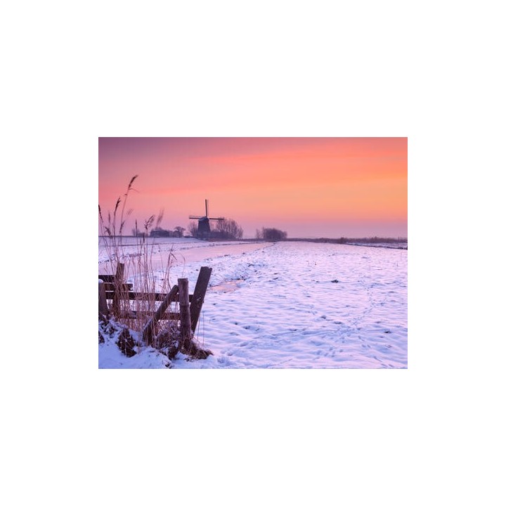 Kreuzfahrten Rhein - Niederlande: Flusskreuzfahrt mit Lady Diletta ab/an Köln