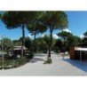 Camping Taimì