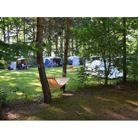 Camping Het Horstmannsbos
