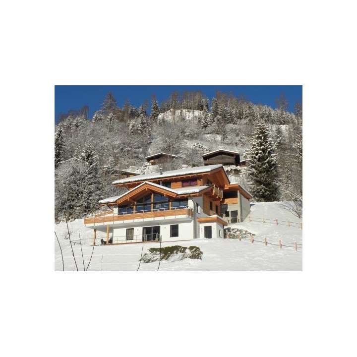 Ferienwohnung Alpenchalet am Wildkogel Kristall - 4-6 Personen