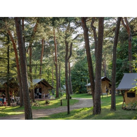 Huttopia De Veluwe