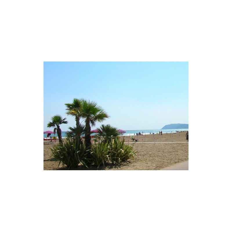 Club del Sole Riccione Easy Camping Village