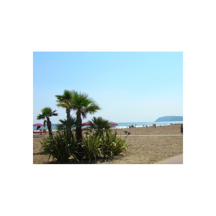 Club del Sole Riccione Easy Camping Village