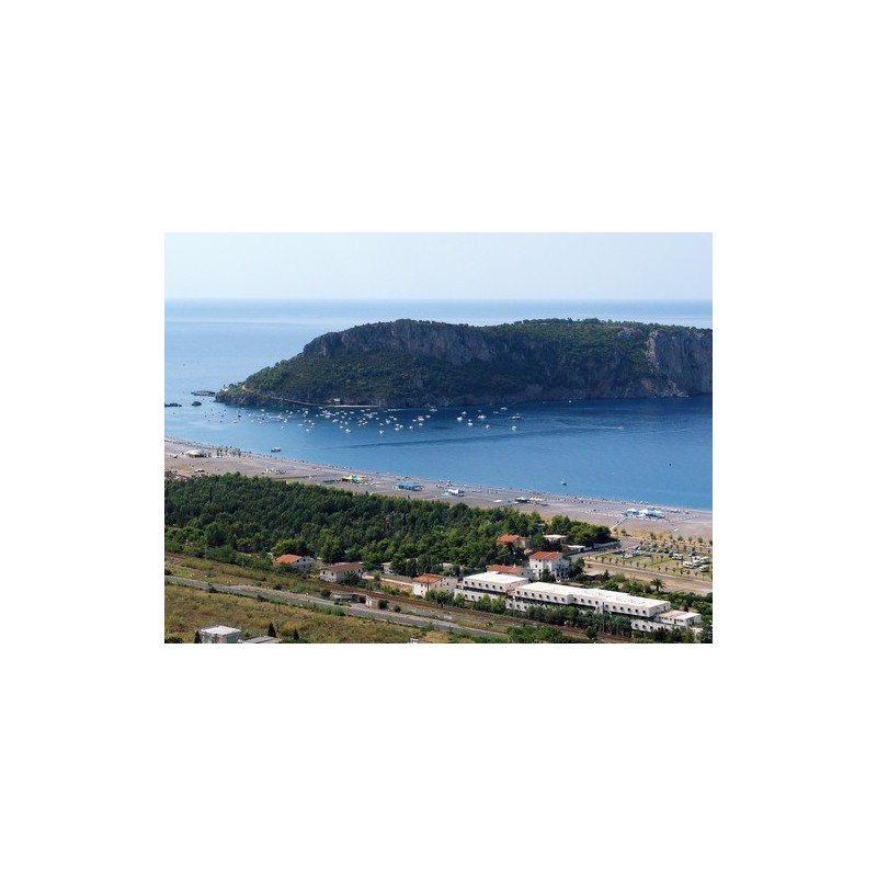 International Camping Village